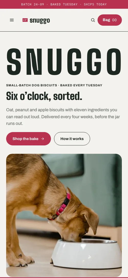 The same home page on a phone.